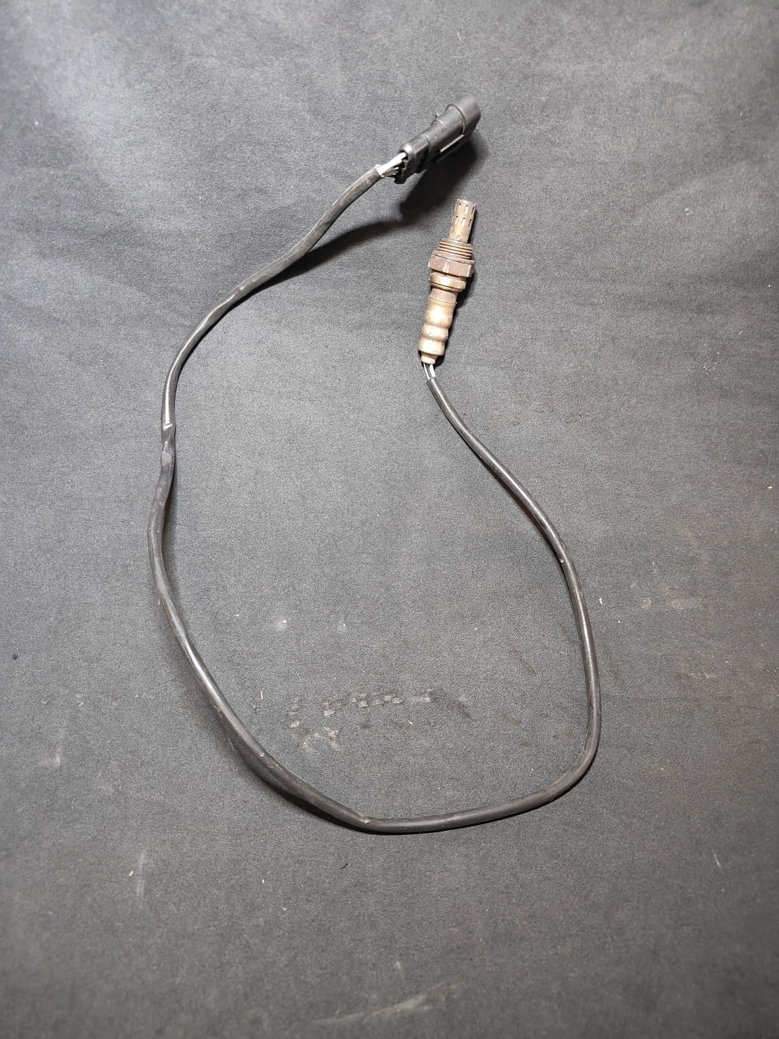 Sonda lambda Ducati - dettaglio connettore