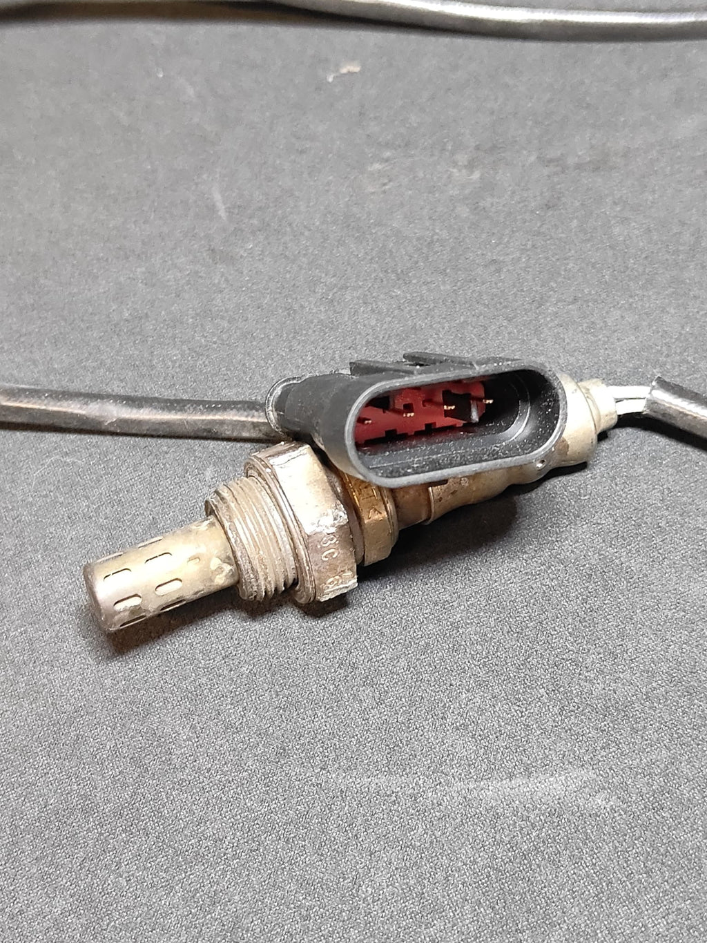 Sonda lambda Ducati - vista completa con cavo