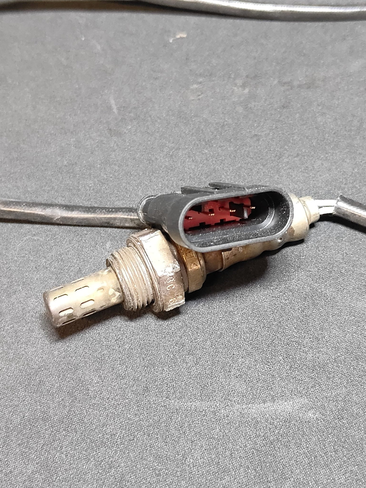Sonda lambda Ducati - vista completa con cavo